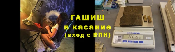 прущие грибы Горнозаводск