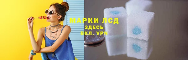 прущие грибы Горнозаводск