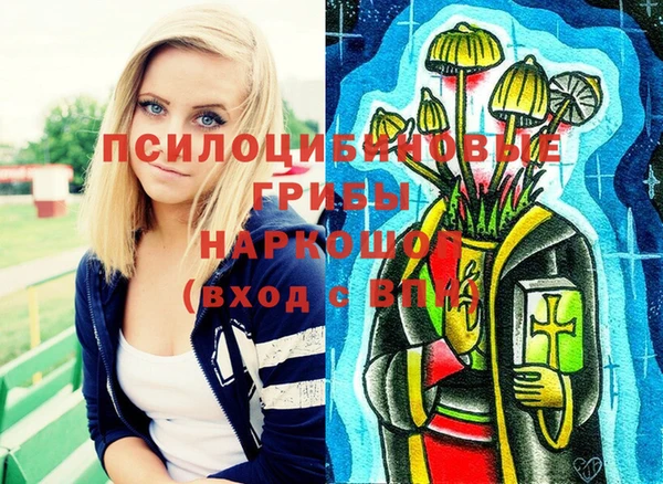 гидропоника Гусев